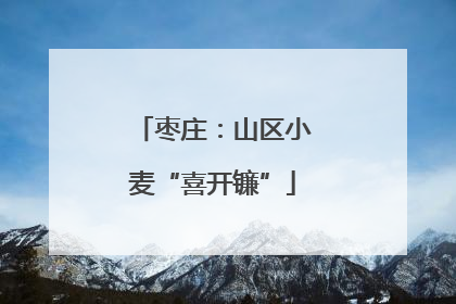 枣庄：山区小麦“喜开镰”