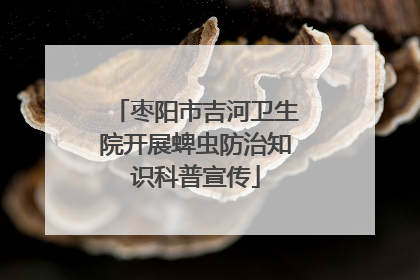 枣阳市吉河卫生院开展蜱虫防治知识科普宣传