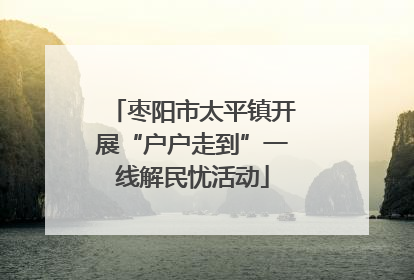 枣阳市太平镇开展“户户走到”一线解民忧活动