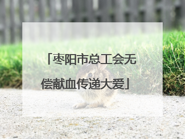 枣阳市总工会无偿献血传递大爱