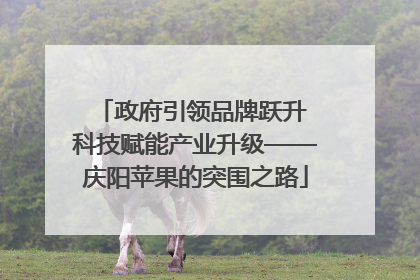 政府引领品牌跃升 科技赋能产业升级——庆阳苹果的突围之路