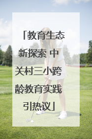 教育生态新探索 中关村三小跨龄教育实践引热议