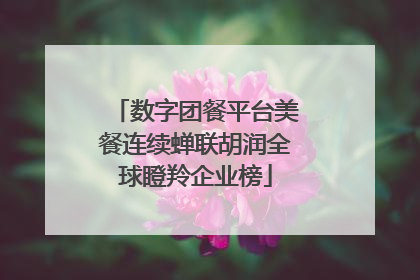 数字团餐平台美餐连续蝉联胡润全球瞪羚企业榜