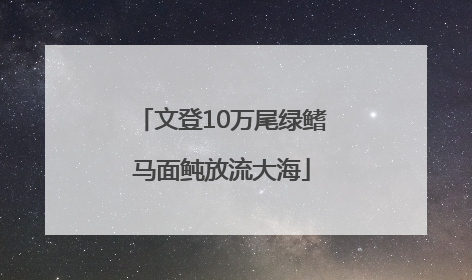 文登10万尾绿鳍马面鲀放流大海