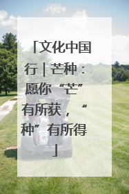 文化中国行｜芒种：愿你“芒”有所获，“种”有所得