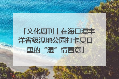 文化周刊丨在海口潭丰洋省级湿地公园打卡夏日里的“湿”情画意