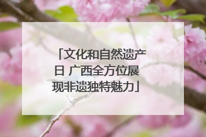文化和自然遗产日 广西全方位展现非遗独特魅力