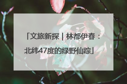 文旅新探｜林都伊春：北纬47度的绿野仙踪