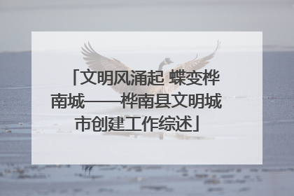 文明风涌起 蝶变桦南城——桦南县文明城市创建工作综述