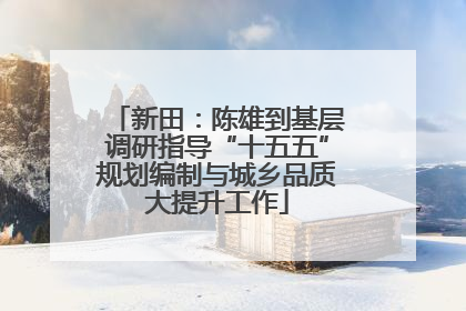 新田：陈雄到基层调研指导“十五五”规划编制与城乡品质大提升工作