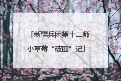 新疆兵团第十二师小草莓“破圈”记