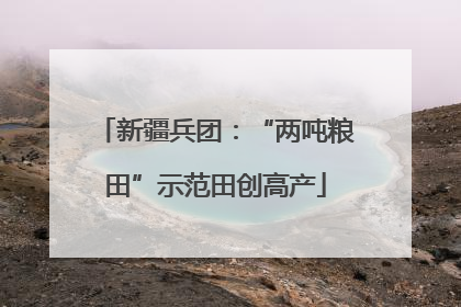 新疆兵团：“两吨粮田”示范田创高产