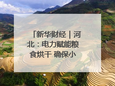 新华财经｜河北：电力赋能粮食烘干 确保小麦高质量归仓