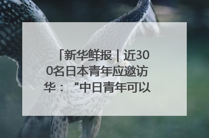 新华鲜报｜近300名日本青年应邀访华：“中日青年可以创造更好的未来”