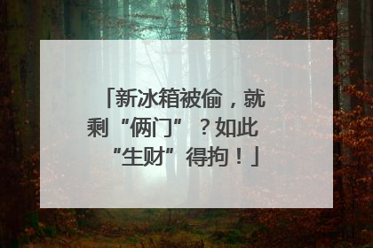新冰箱被偷，就剩“俩门”？如此“生财”得拘！