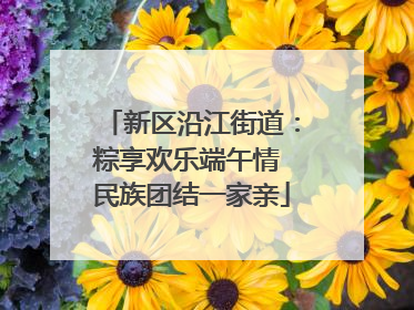 新区沿江街道：粽享欢乐端午情 民族团结一家亲