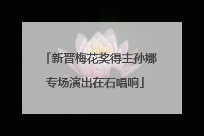 新晋梅花奖得主孙娜专场演出在石唱响