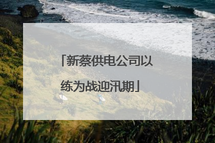 新蔡供电公司以练为战迎汛期