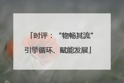 时评：“物畅其流”引擎循环、赋能发展