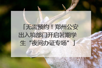 无需预约！郑州公安出入境部门开启暑期学生“夜间办证专场”