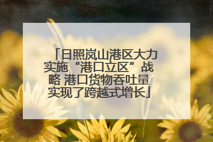 日照岚山港区大力实施“港口立区”战略 港口货物吞吐量实现了跨越式增长