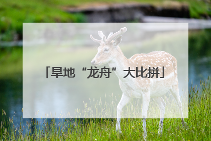 旱地“龙舟”大比拼