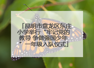 昆明市盘龙区东庄小学举行“牢记党的教导 争做强国少年”一年级入队仪式