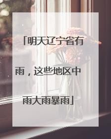 明天辽宁省有雨，这些地区中雨大雨暴雨
