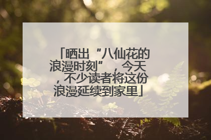 晒出“八仙花的浪漫时刻”，今天，不少读者将这份浪漫延续到家里