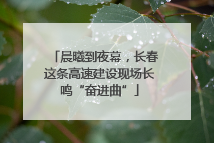 晨曦到夜幕，长春这条高速建设现场长鸣“奋进曲”