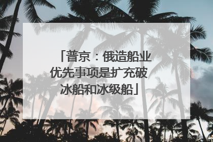普京：俄造船业优先事项是扩充破冰船和冰级船