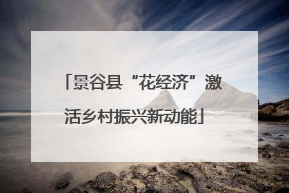 景谷县“花经济”激活乡村振兴新动能