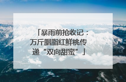 暴雨前抢收记：万斤胭脂红鲜桃传递“双向甜蜜”