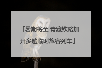 暑期将至 青藏铁路加开多趟临时旅客列车