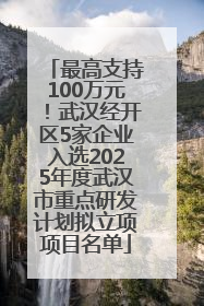 最高支持100万元！武汉经开区5家企业入选2025年度武汉市重点研发计划拟立项项目名单