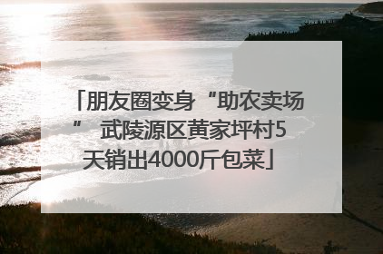 朋友圈变身“助农卖场” 武陵源区黄家坪村5天销出4000斤包菜
