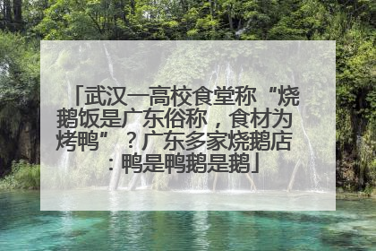 武汉一高校食堂称“烧鹅饭是广东俗称，食材为烤鸭”？广东多家烧鹅店：鸭是鸭鹅是鹅