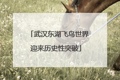 武汉东湖飞鸟世界迎来历史性突破