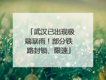 武汉已出现极端暴雨！部分铁路封锁、限速