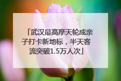 武汉最高摩天轮成亲子打卡新地标，半天客流突破1.5万人次