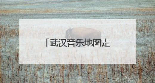 武汉音乐地图走进武汉经开区