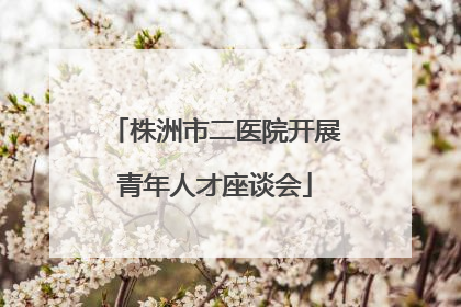株洲市二医院开展青年人才座谈会