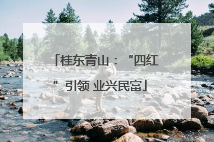 桂东青山：“四红”引领 业兴民富