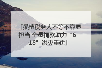 桑植税务人不等不靠显担当 全员捐款助力“6·18”洪灾重建