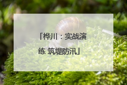 桦川：实战演练 筑堤防汛