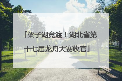 梁子湖竞渡！湖北省第十七届龙舟大赛收官
