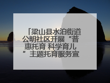 梁山县水泊街道公明社区开展“普惠托育 科学育儿”主题托育服务宣传活动