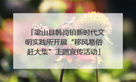 梁山县韩岗镇新时代文明实践所开展“移风易俗赶大集”主题宣传活动