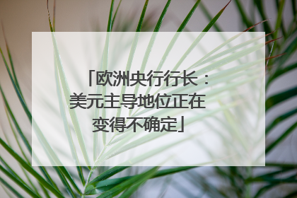 欧洲央行行长：美元主导地位正在变得不确定