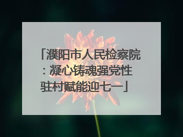 濮阳市人民检察院：凝心铸魂强党性 驻村赋能迎七一